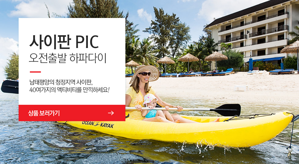 인터파크투어 PIC 인터파크 PIC 전문몰