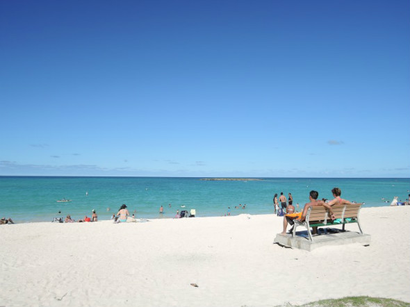 
        미국 하와이 자유여행 오아후 명소 Best 5 : 인터파크투어 프리야 여행정보
    