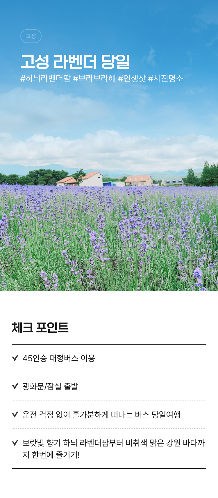 버스 지원특가 보랏빛 여름 향기 고성 라벤더 당일여행 : 인터파크투어