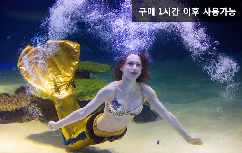 아만티 호텔 서울